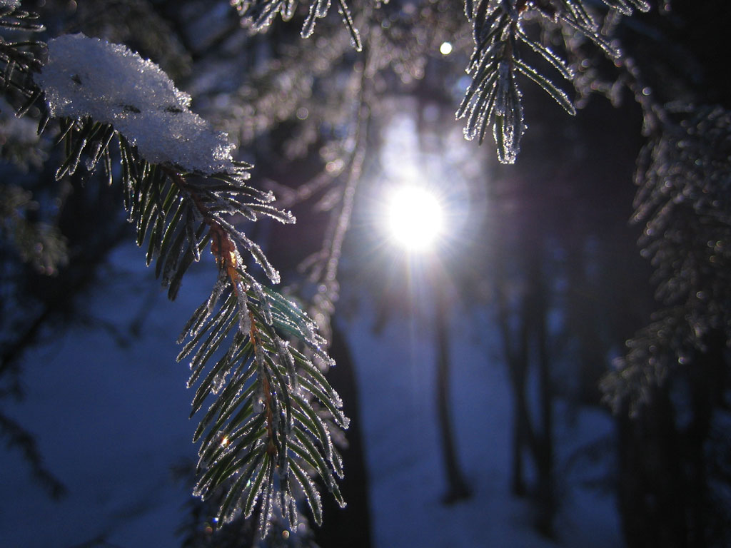 Wallpapers Nature Saisons - Winter 