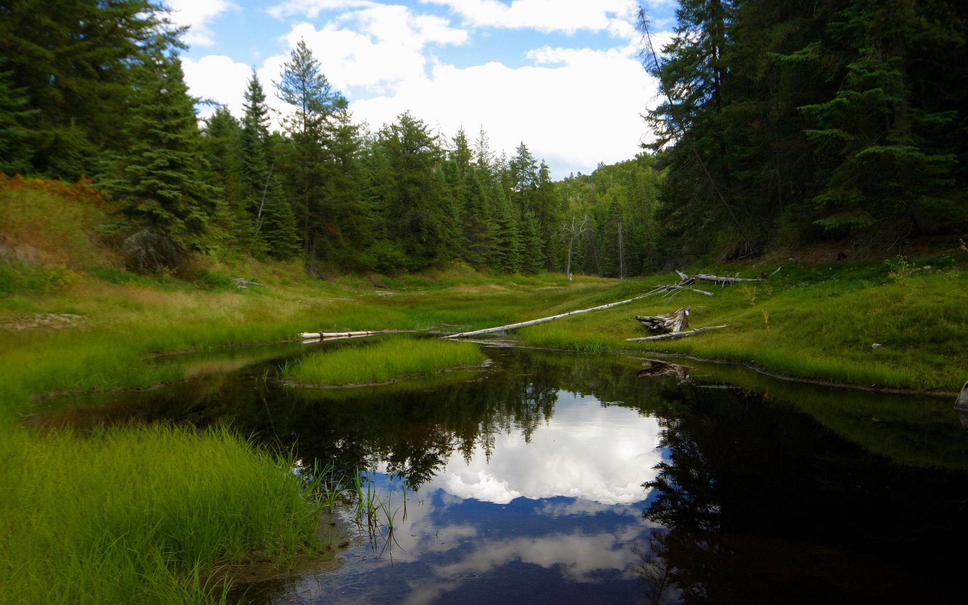 Fonds d'cran Nature Lacs - Etangs L'etang