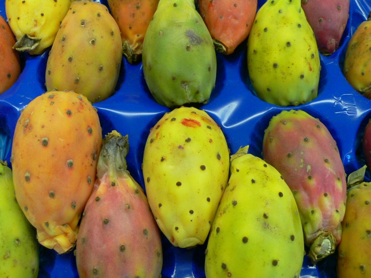 Wallpapers Nature Fruits Ah, des figues de Barbarie !