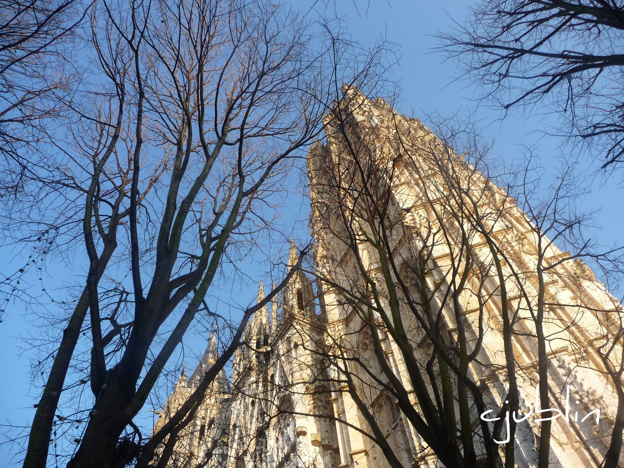 Wallpapers Constructions and architecture Religious Buildings un arbre et la cathdrale discutent au soleil