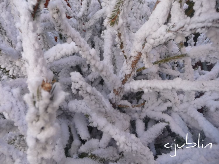 Fonds d'cran Nature Saisons - Hiver et la neige tomba sur le sapin