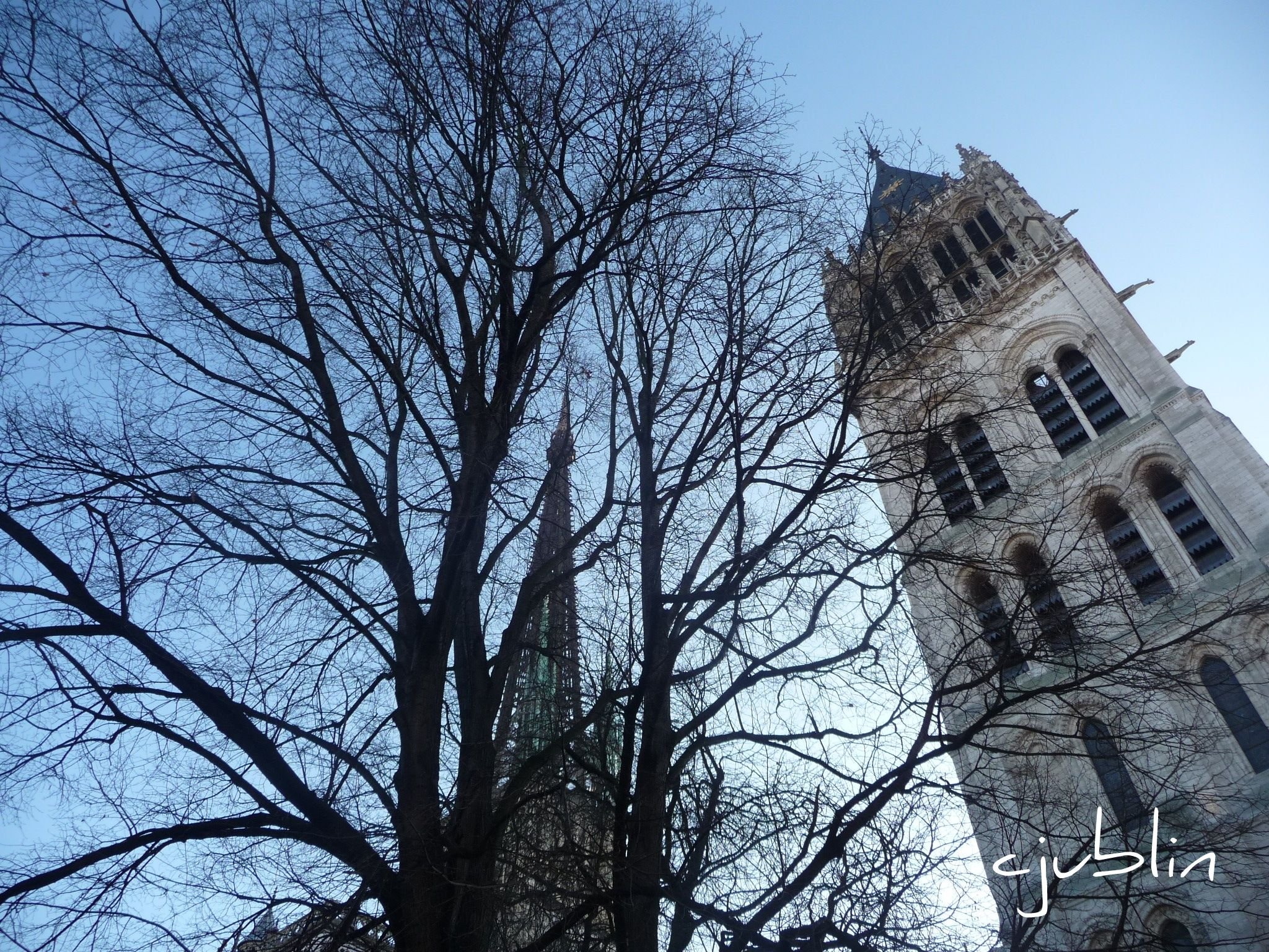 Wallpapers Constructions and architecture Religious Buildings un arbre encerclais le clocher