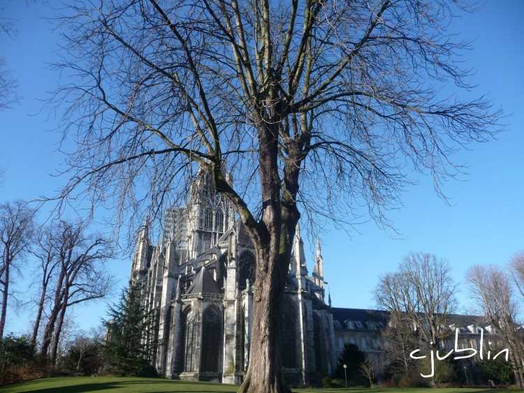 Wallpapers Constructions and architecture Religious Buildings l'arbre abritait l'glise