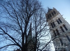 Fonds d'cran Constructions et architecture un arbre encerclais le clocher