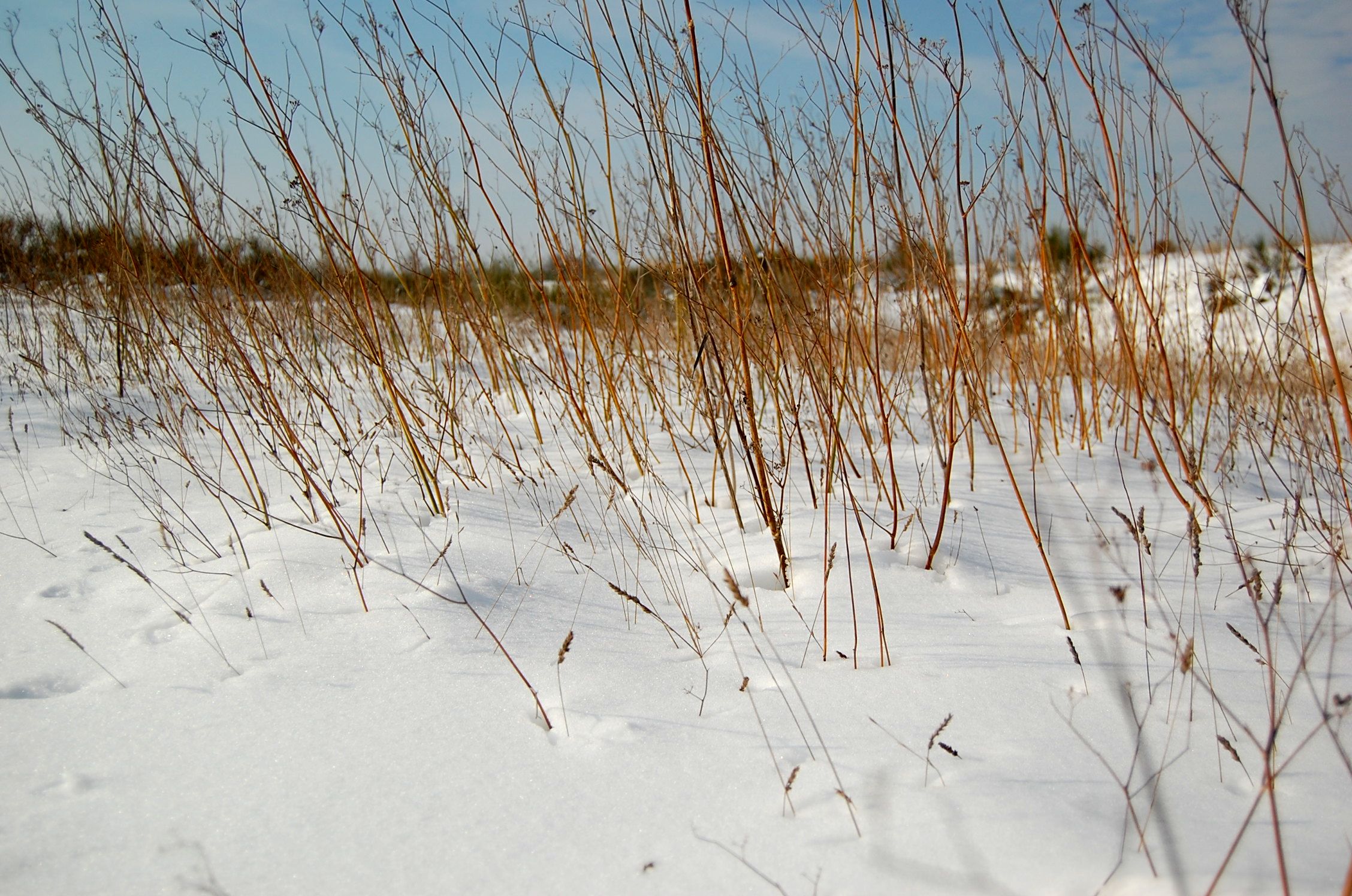 Fonds d'cran Nature Saisons - Hiver 