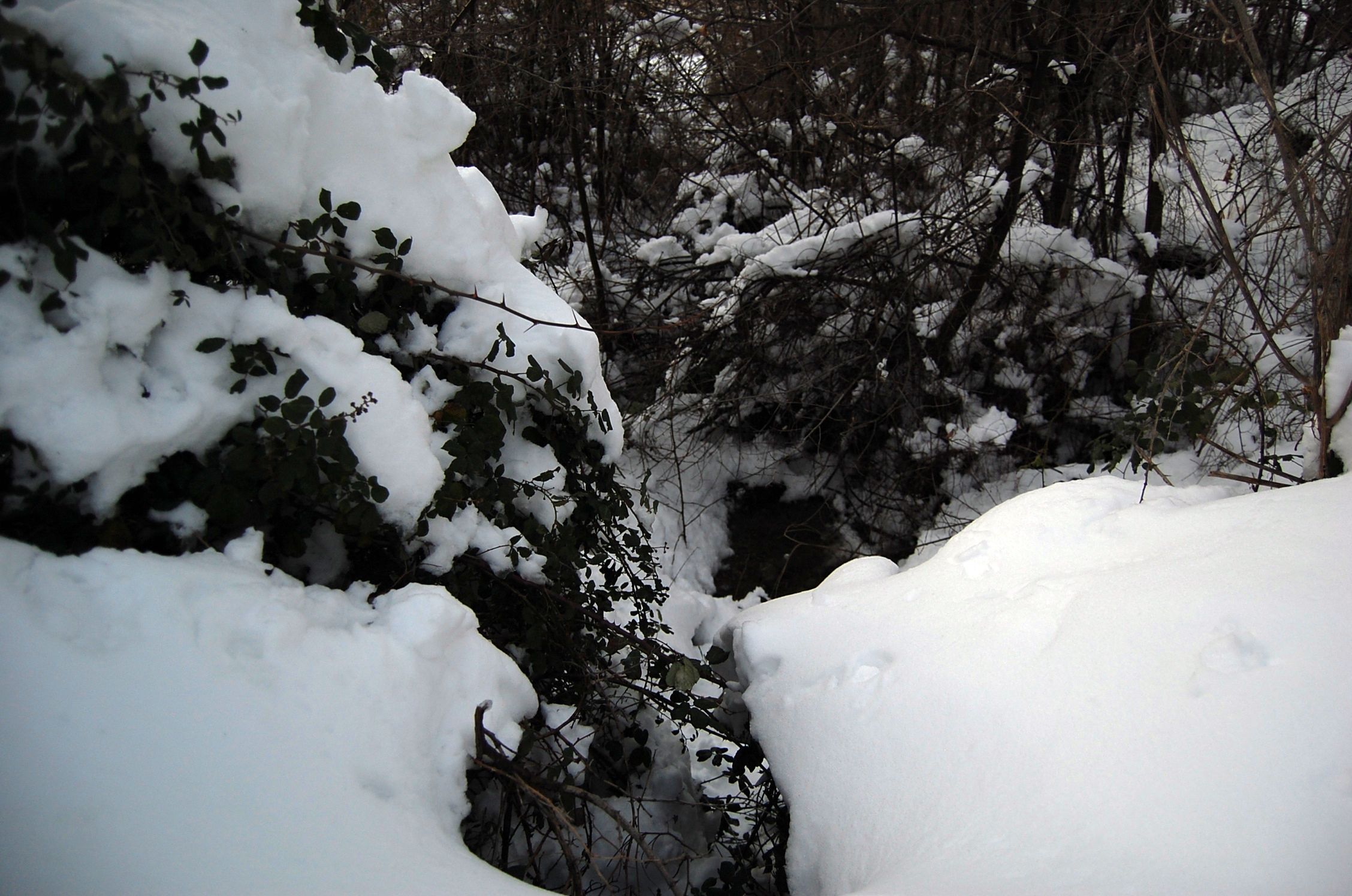 Fonds d'cran Nature Saisons - Hiver 