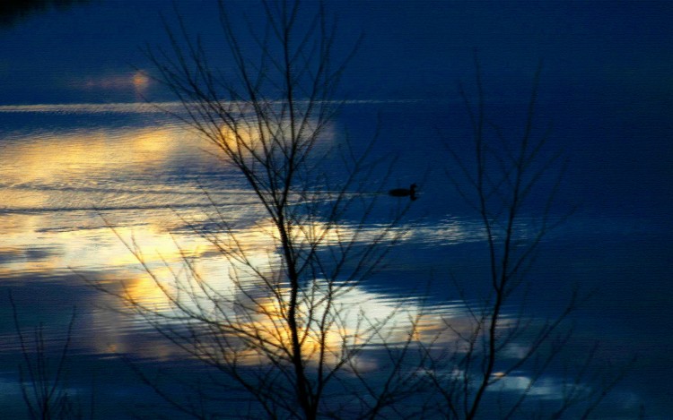 Fonds d'cran Nature Lacs - Etangs Coucher de soleil