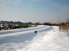 Fonds d'cran Nature Chemin de fer.    