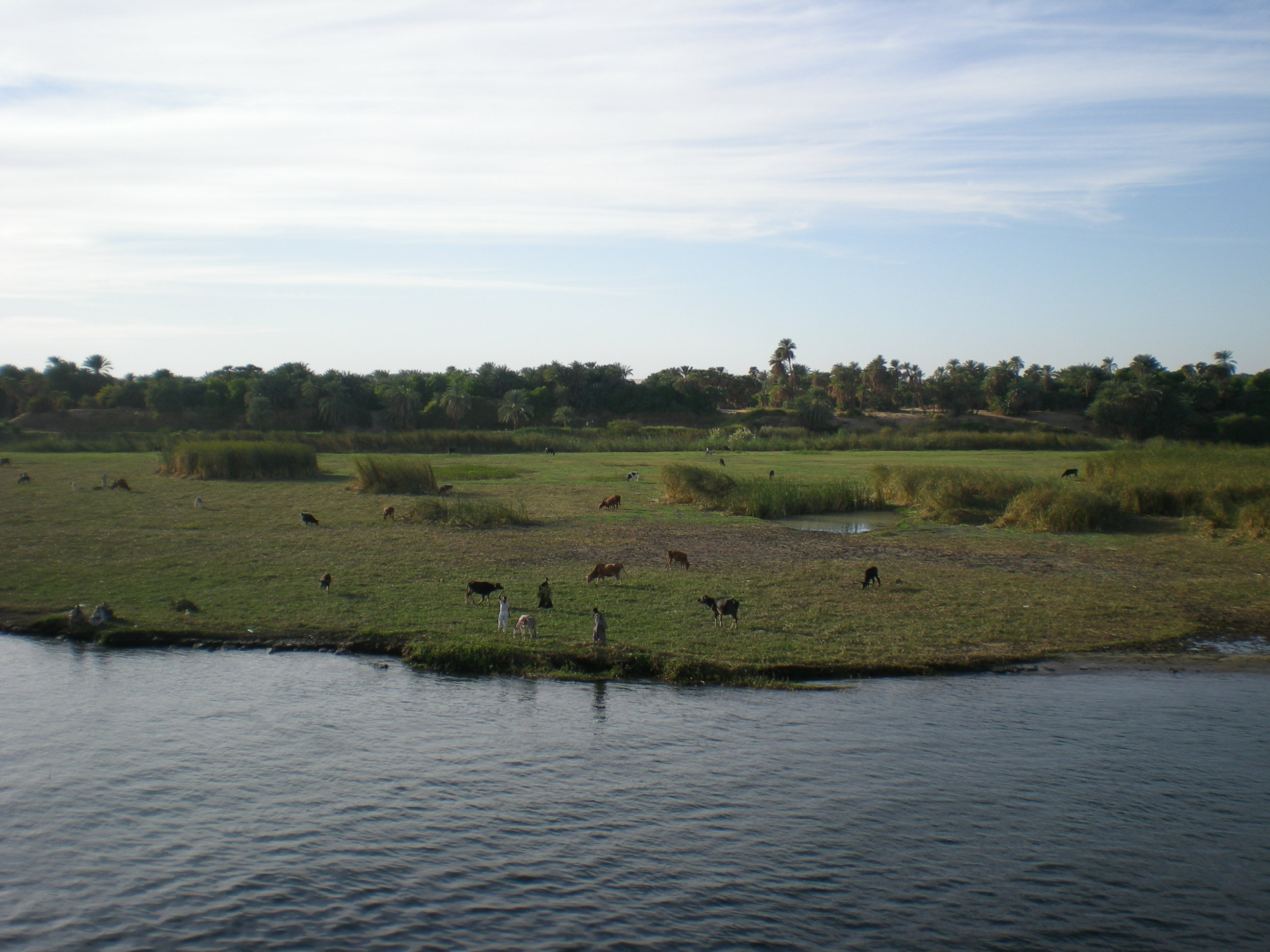 Fonds d'cran Nature Fleuves - Rivires - Torrents Le nil