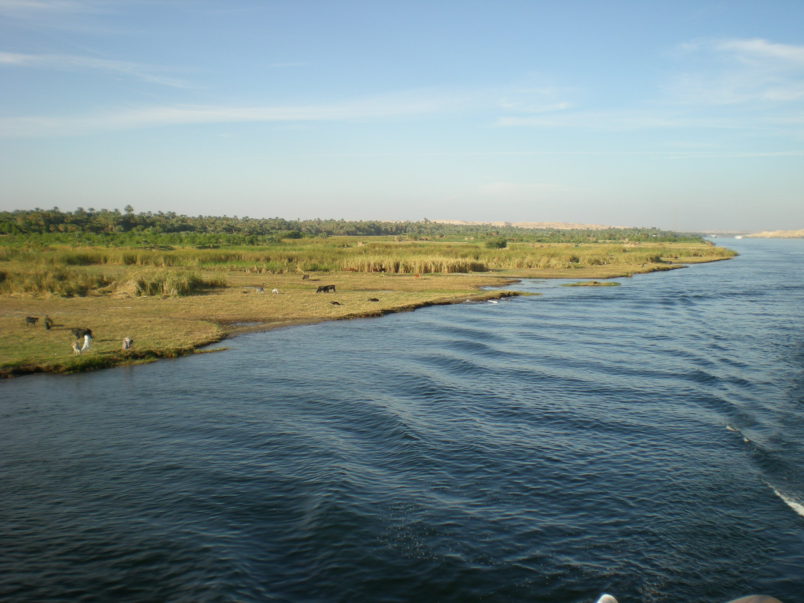 Fonds d'cran Nature Fleuves - Rivires - Torrents Le nil et sa rive