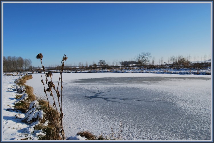 Fonds d'cran Nature Lacs - Etangs Etang gel