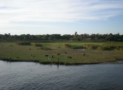 Fonds d'cran Nature Le nil