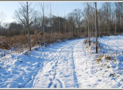 Fonds d'cran Nature Promenade hivernale