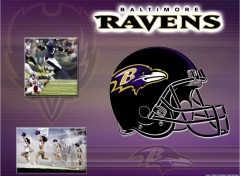 Wallpapers Sports - Leisures Baltimore Ravens