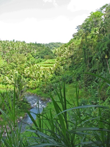 Fonds d'cran Voyages : Asie Bali Fort balinaise