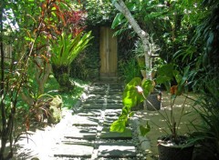 Wallpapers Nature Jardin privatif dans un htel  Ubud