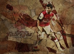 Wallpapers Sports - Leisures Cesc Fabregas