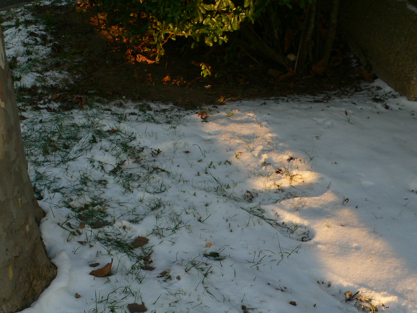 Fonds d'cran Nature Saisons - Hiver Couleurs d'hiver