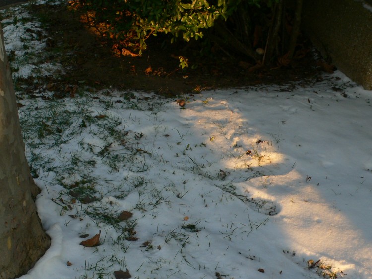 Fonds d'cran Nature Saisons - Hiver Couleurs d'hiver