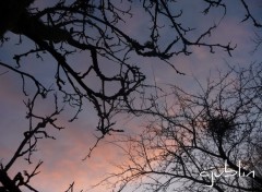 Fonds d'cran Nature un ciel fabuleux