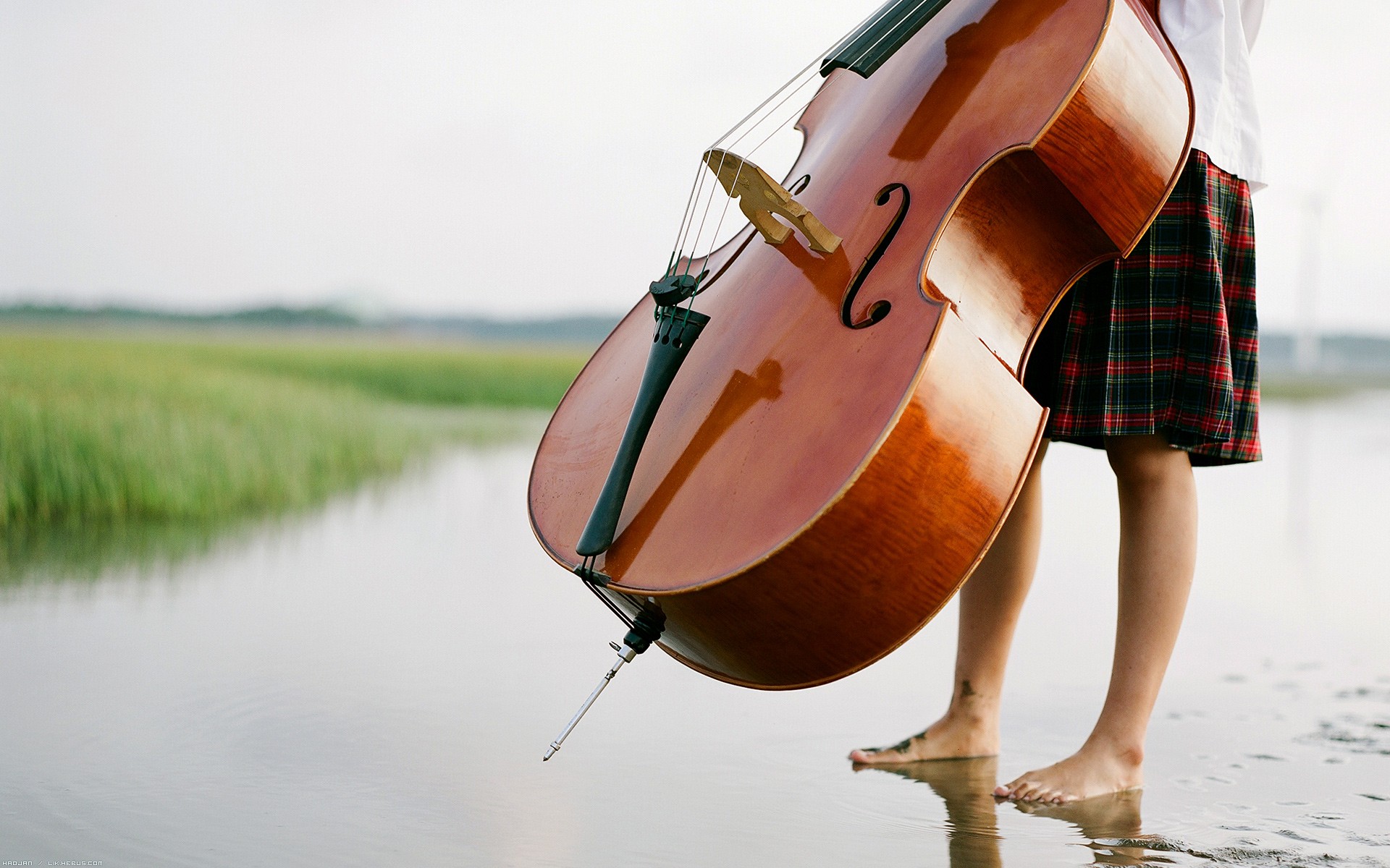 Fonds d'cran Musique Instruments - Divers Violoncelliste les pieds humides