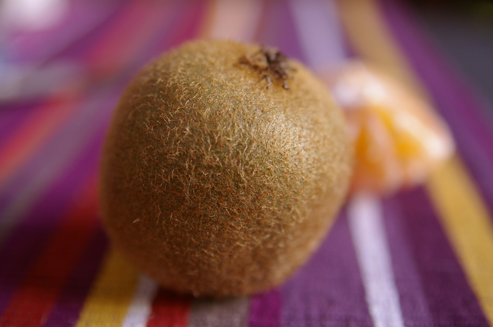 Wallpapers Nature Fruits kiwi