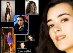 Fonds d'cran Clbrits Femme Cote de Pablo 