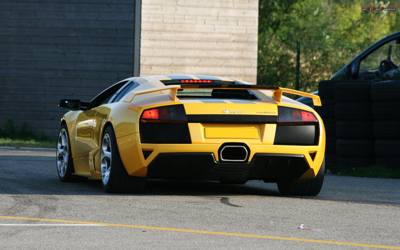 Wallpapers Cars Lamborghini Lamborghini Murcielago Le Mans