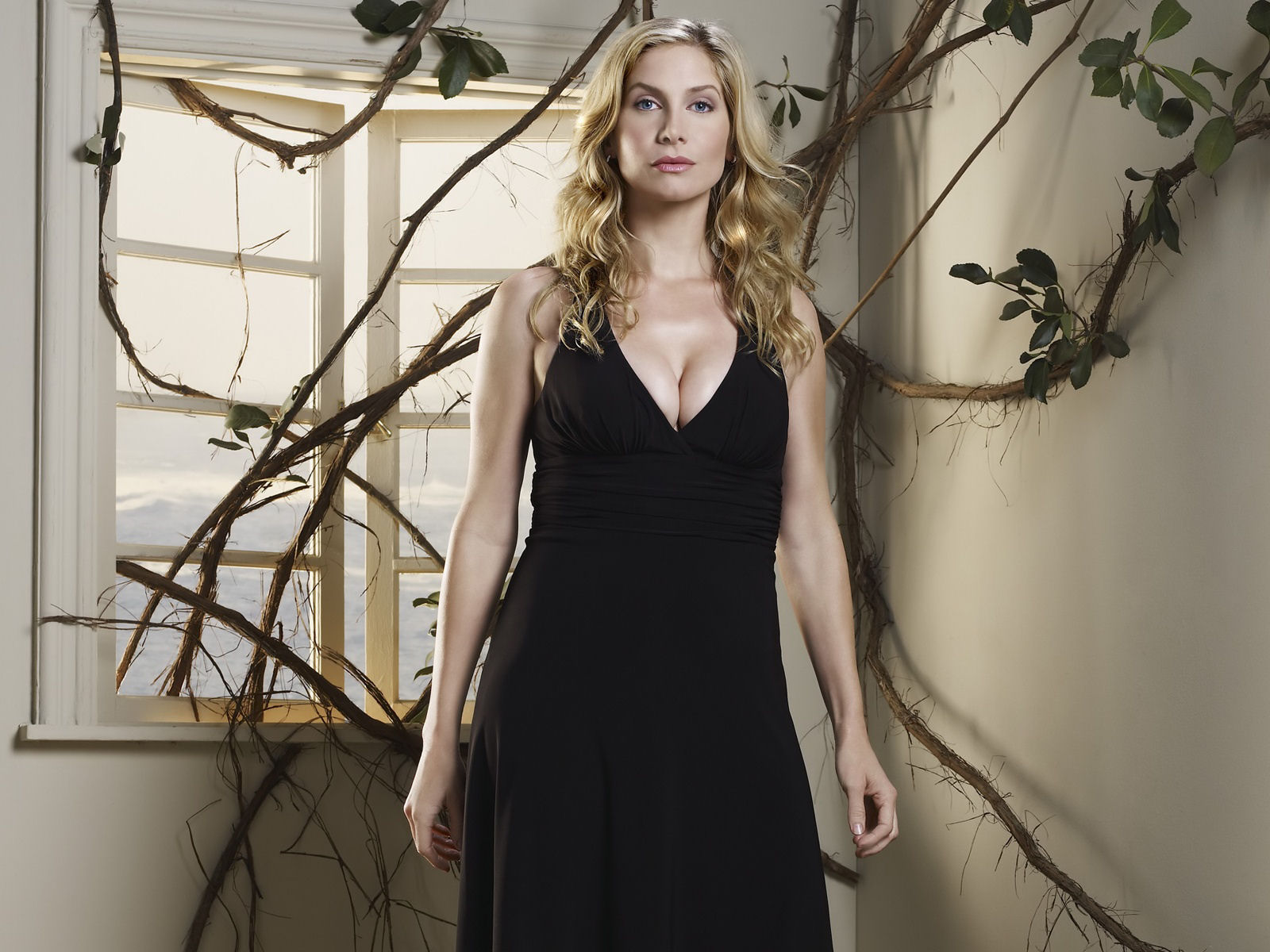 Fonds d'cran Clbrits Femme Elizabeth Mitchell 