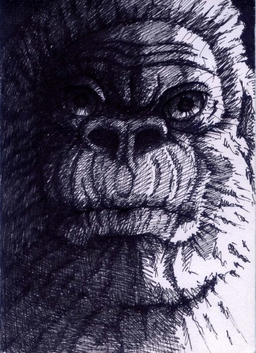 Wallpapers Art - Pencil Animals - Monkeys kong