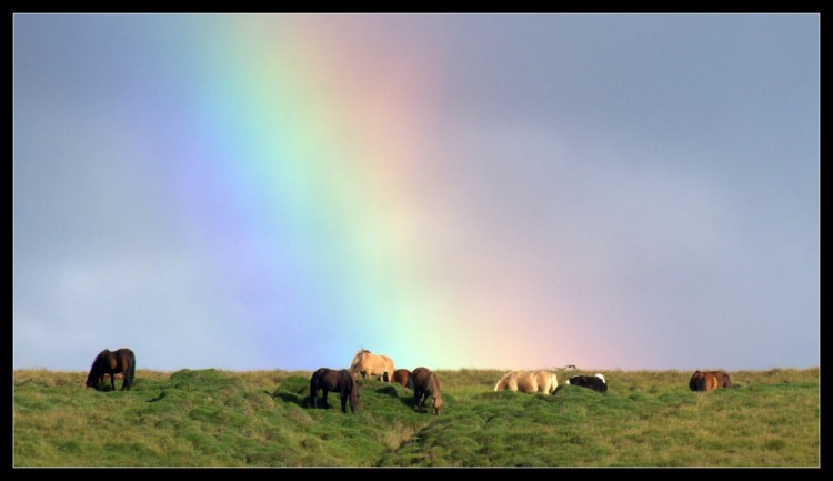 Wallpapers Nature Rainbows Snorrastair