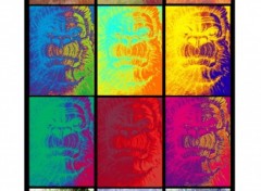 Wallpapers Digital Art kingkongpop