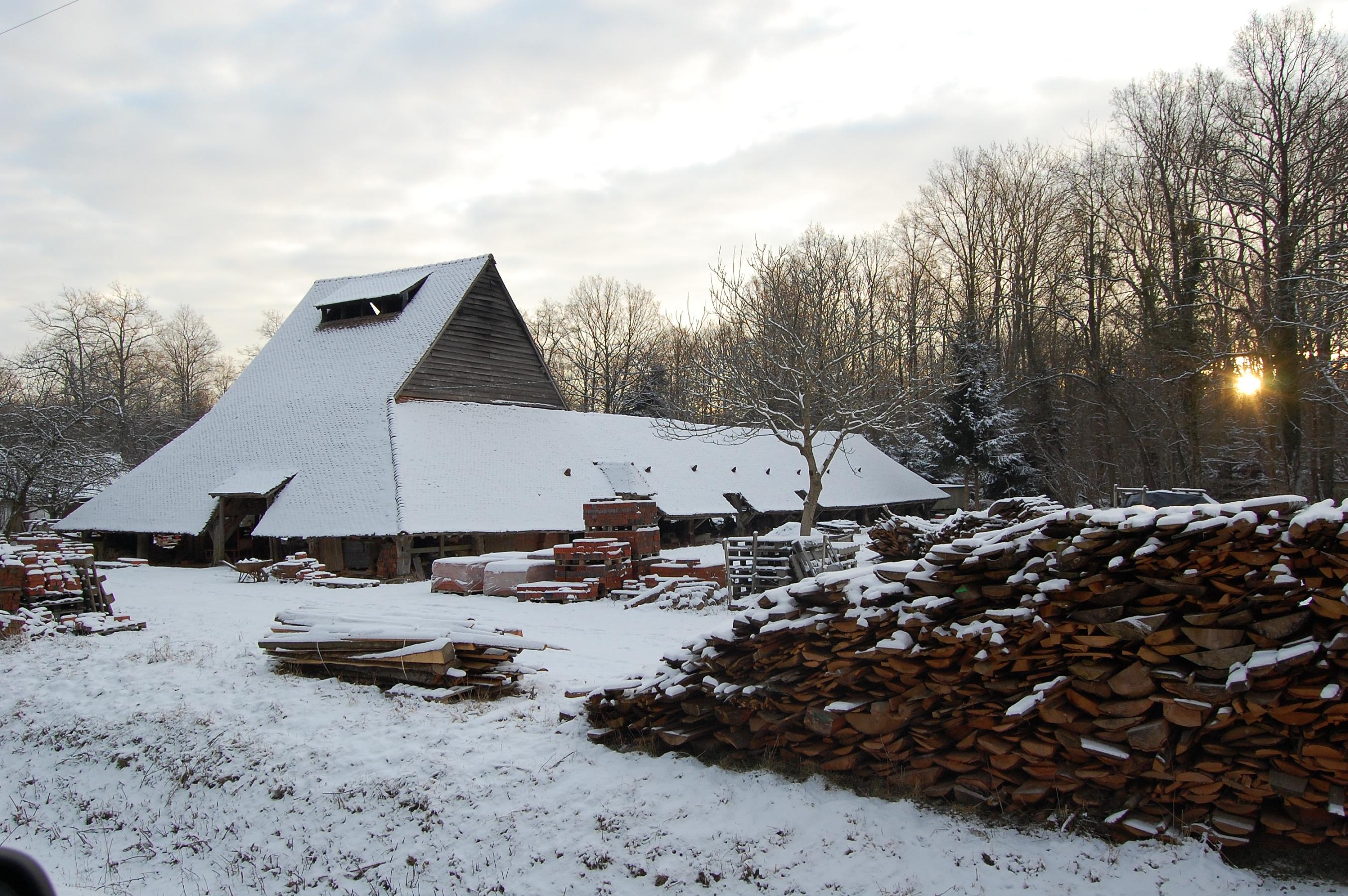 Fonds d'cran Nature Arbres - Forts 