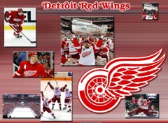 Fonds d'cran Sports - Loisirs Detroit Red Wings