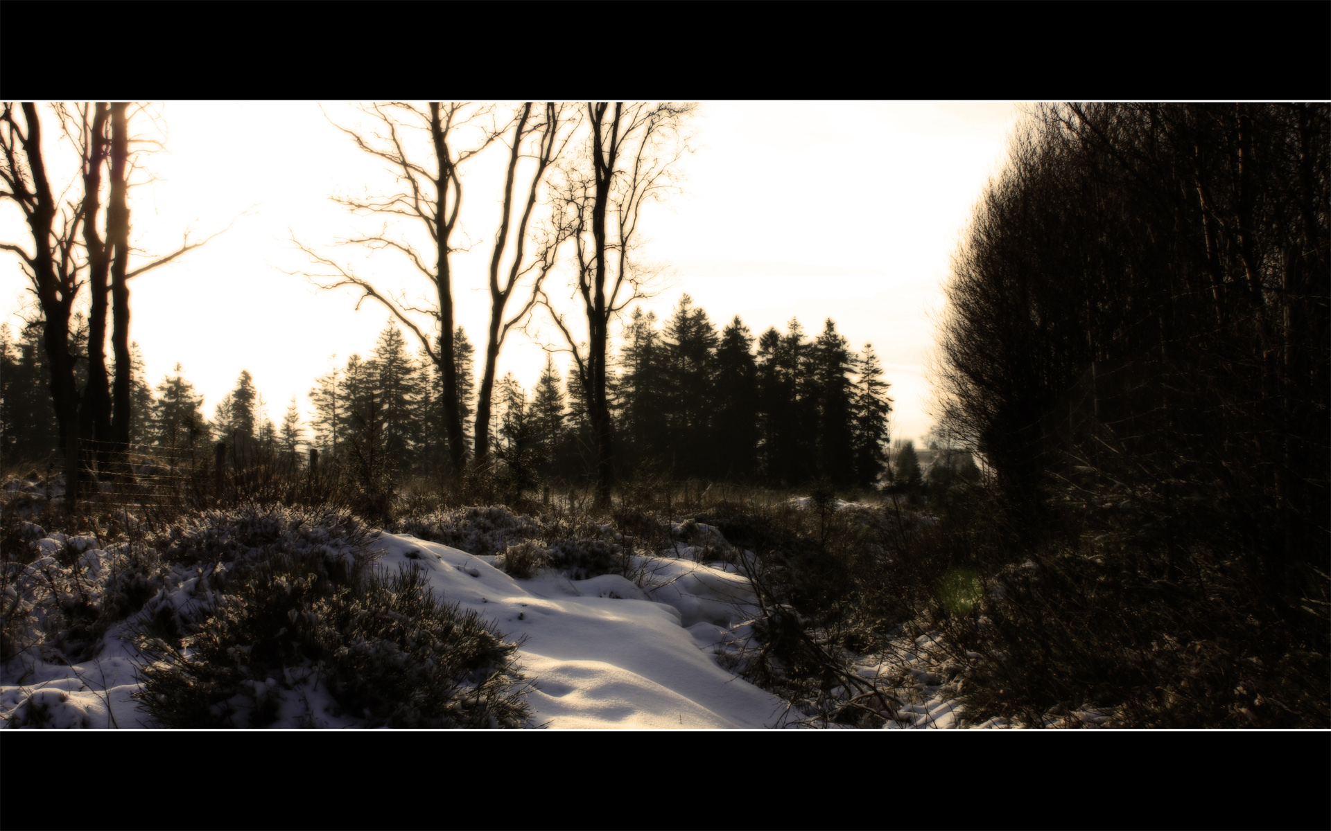 Fonds d'cran Nature Saisons - Hiver Fagnes Hivernales