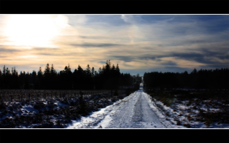 Fonds d'cran Nature Saisons - Hiver Chemin dans les Fagnes