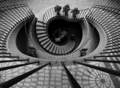 Wallpapers Constructions and architecture Escalier noir et blanc