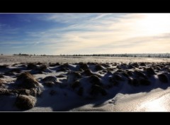 Fonds d'cran Nature Fagnes Hivers