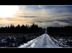 Fonds d'cran Nature Chemin dans les Fagnes