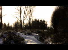 Fonds d'cran Nature Fagnes Hivernales