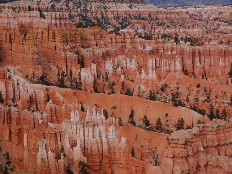 Fonds d'cran Nature Canyons Bryce