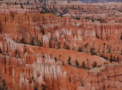 Fonds d'cran Nature Bryce