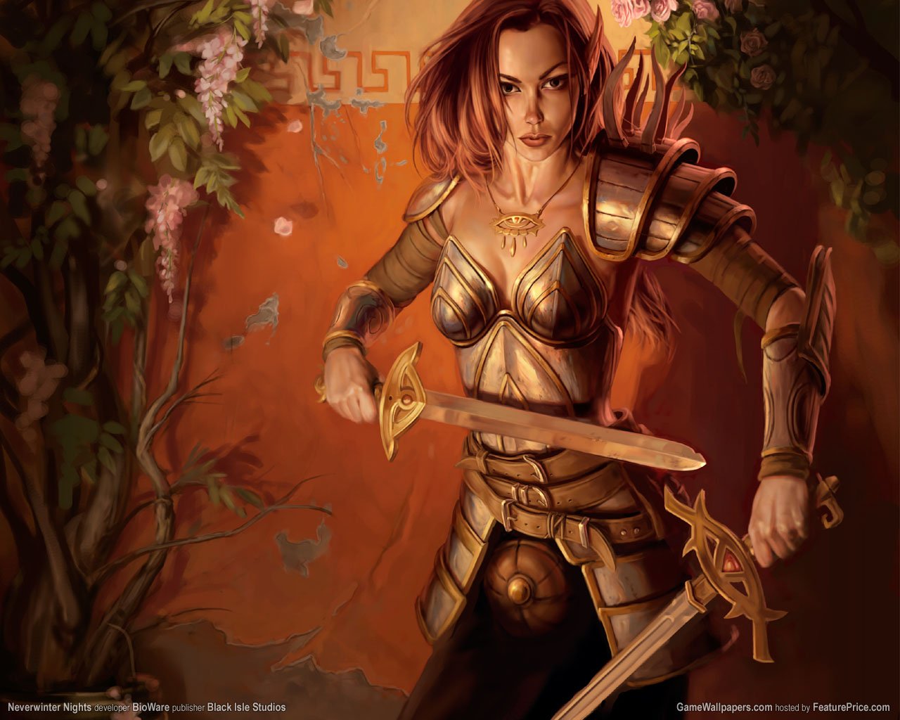 Wallpapers Video Games NeverWinter Nights femmes