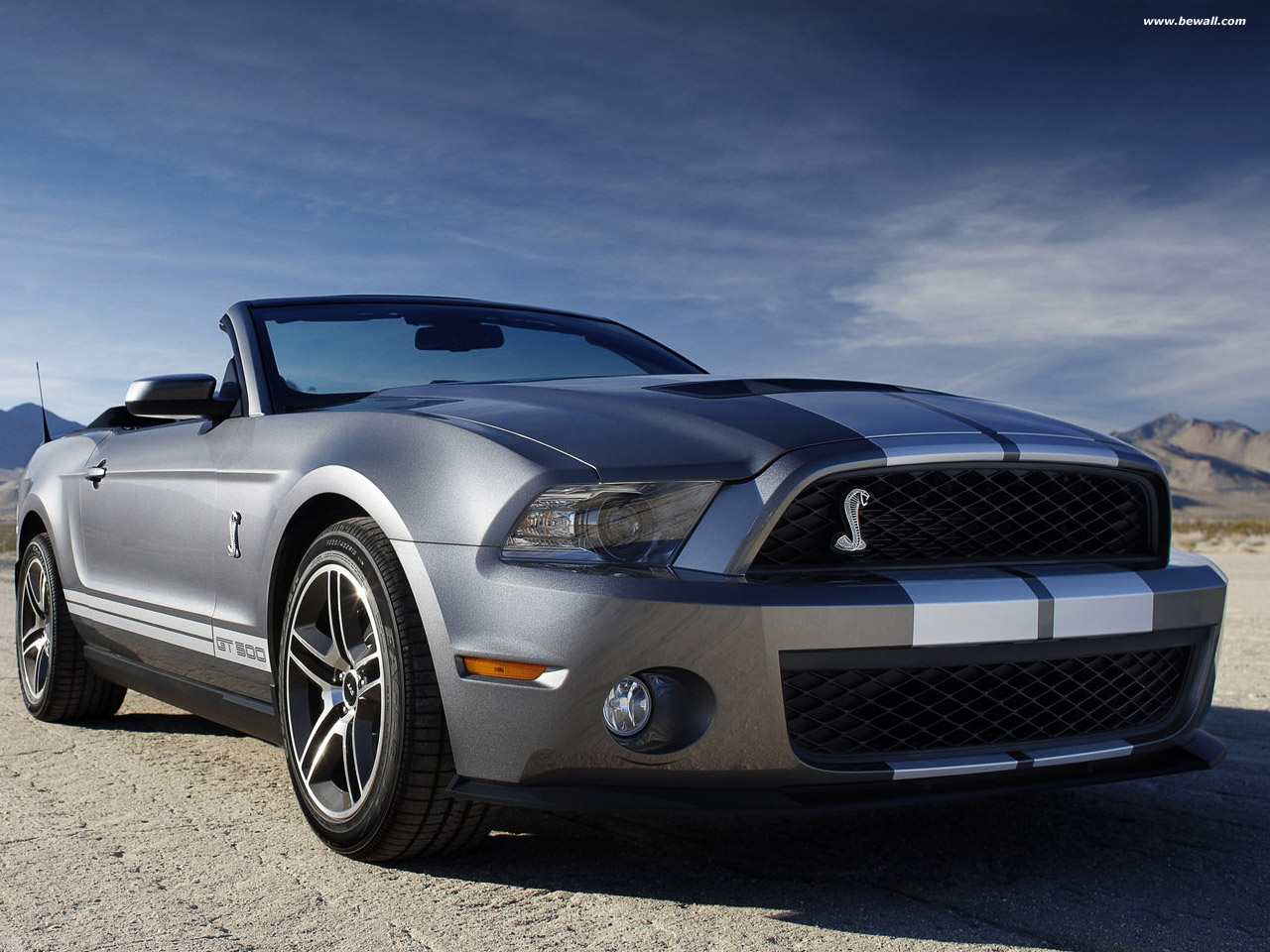 Wallpapers Cars Mustang Mustang