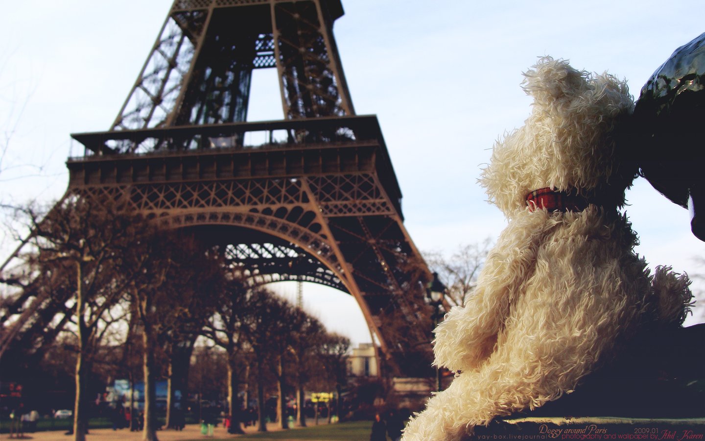 Wallpapers Trips : Europ France > Ile-de-France > Paris Doggy around Paris