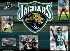 Wallpapers Sports - Leisures jaguars