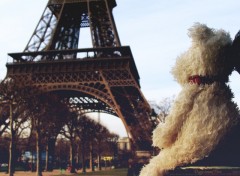 Fonds d'cran Voyages : Europe Doggy around Paris