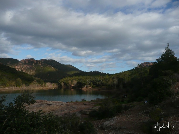 Fonds d'cran Nature Lacs - Etangs une si belle vgtation