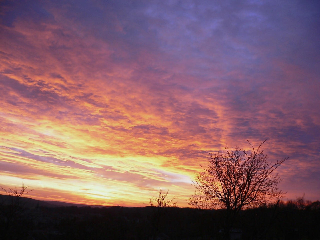 Wallpapers Nature Sunsets and sunrises Mirabellier en feu