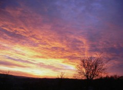 Fonds d'cran Nature Mirabellier en feu